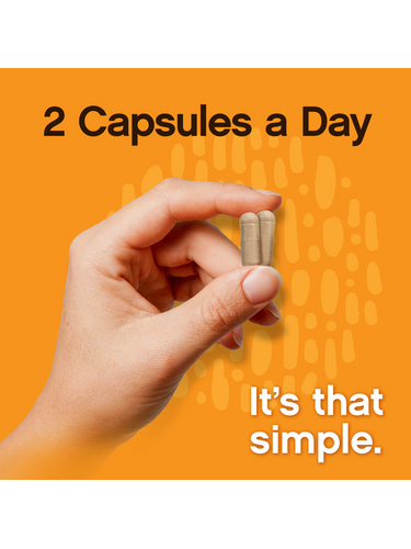 Organic Mushroom Blend | Grown in a Certified US Facility | 10-in-1 Complex 1,200 mg | Lion’s Mane, Chaga, Turkey Tail, Maitake, Shiitake, Reishi & More | Laboratory Tested | Superior Absorption