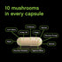 Organic Mushroom Blend | Grown in a Certified US Facility | 10-in-1 Complex 1,200 mg | Lion’s Mane, Chaga, Turkey Tail, Maitake, Shiitake, Reishi  & More | Laboratory Tested | Superior Absorption